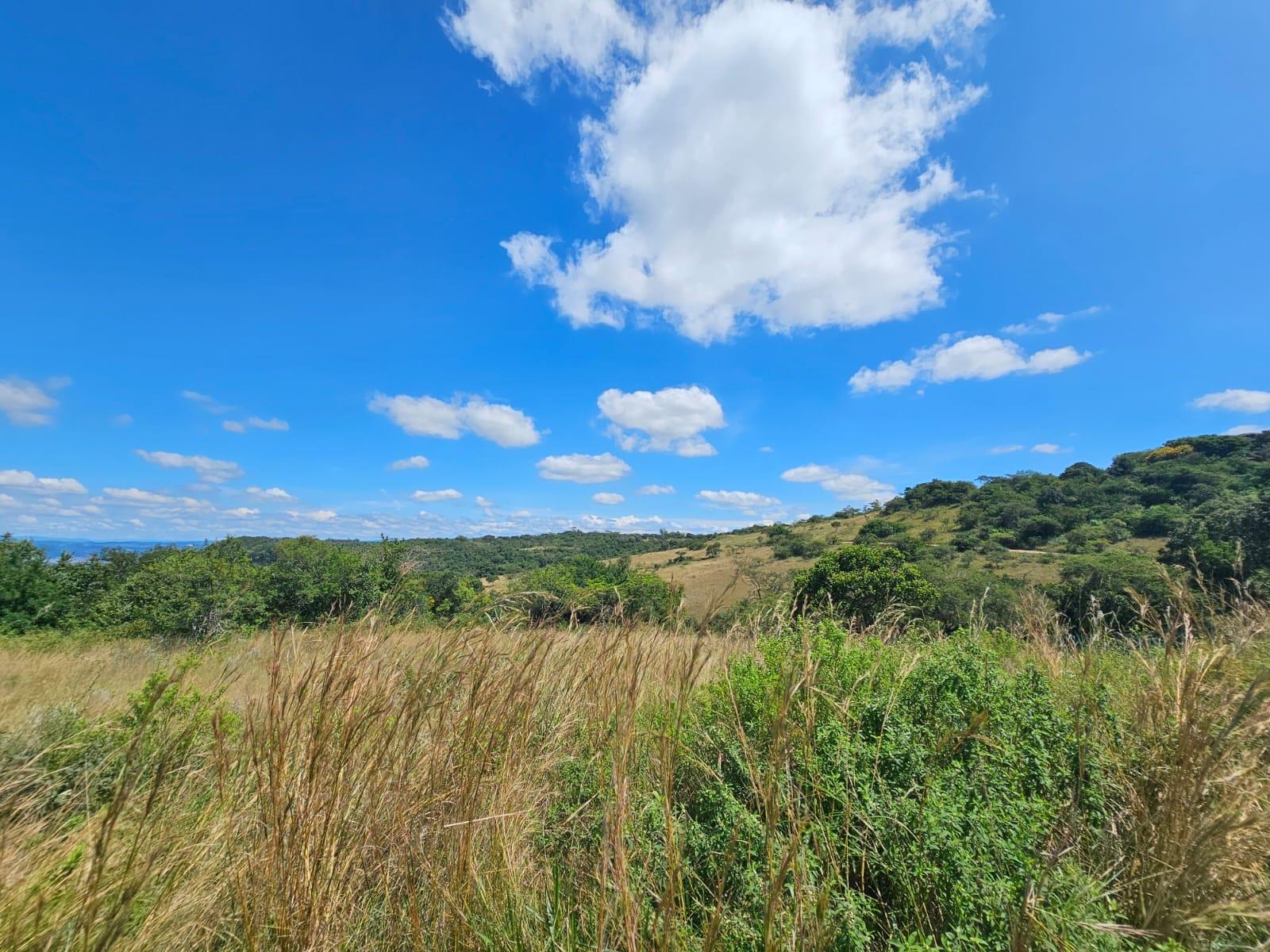 Exclusive Vacant Stand ideal for a LUXURY Busveld home on Wild Fig Country Estate, 290ha Game Farm..