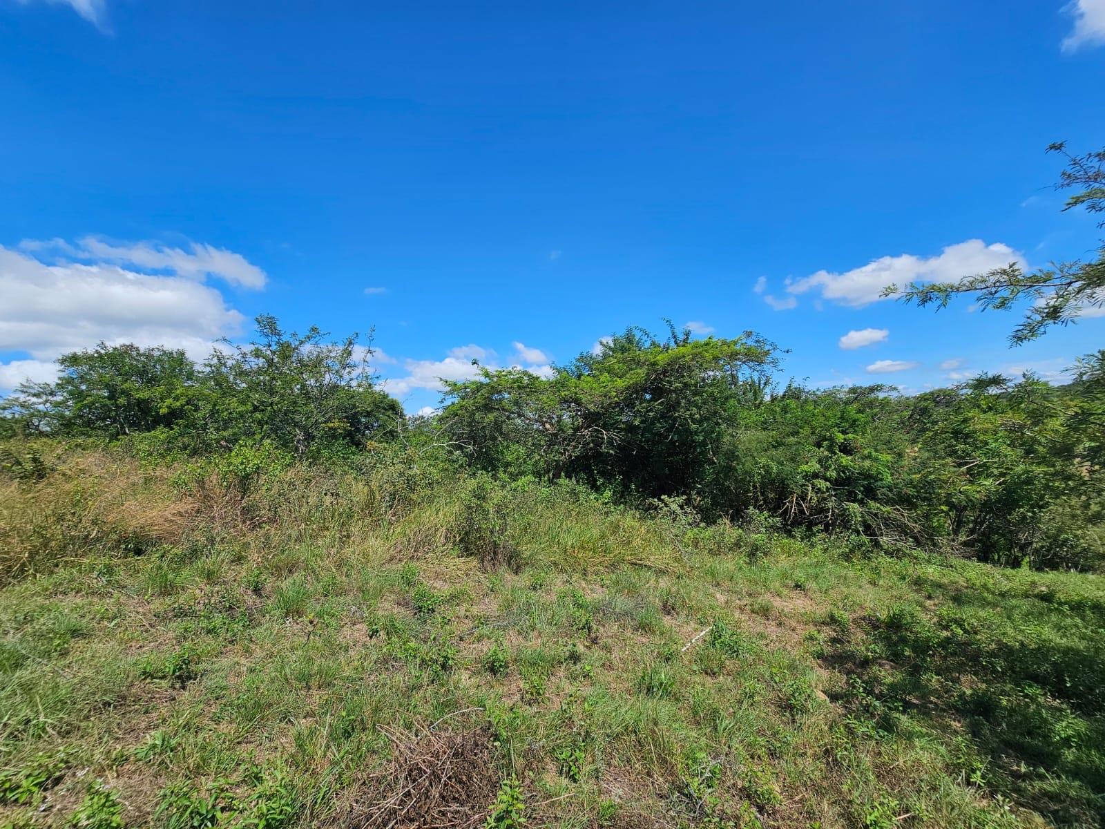 Exclusive Vacant Stand ideal for a LUXURY Busveld home on Wild Fig Country Estate, 290ha Game Farm..