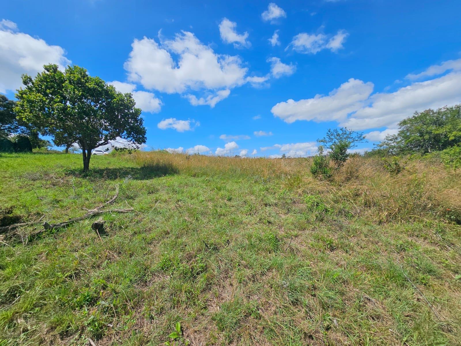 Exclusive Vacant Stand ideal for a LUXURY Busveld home on Wild Fig Country Estate, 290ha Game Farm..