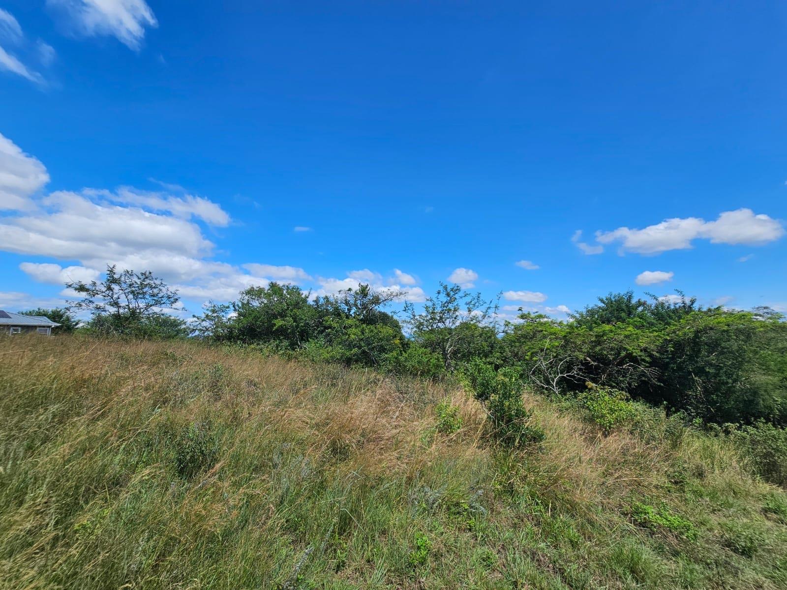 Exclusive Vacant Stand ideal for a LUXURY Busveld home on Wild Fig Country Estate, 290ha Game Farm..