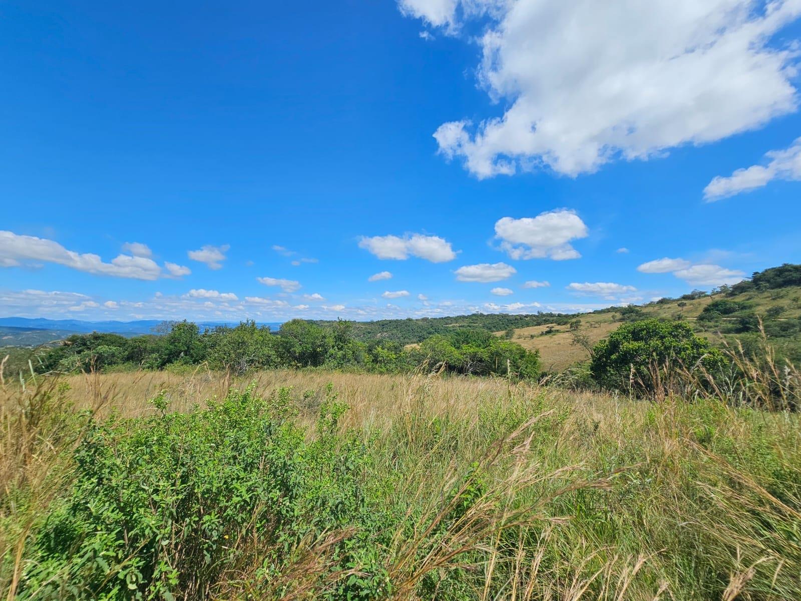 Exclusive Vacant Stand ideal for a LUXURY Busveld home on Wild Fig Country Estate, 290ha Game Farm..