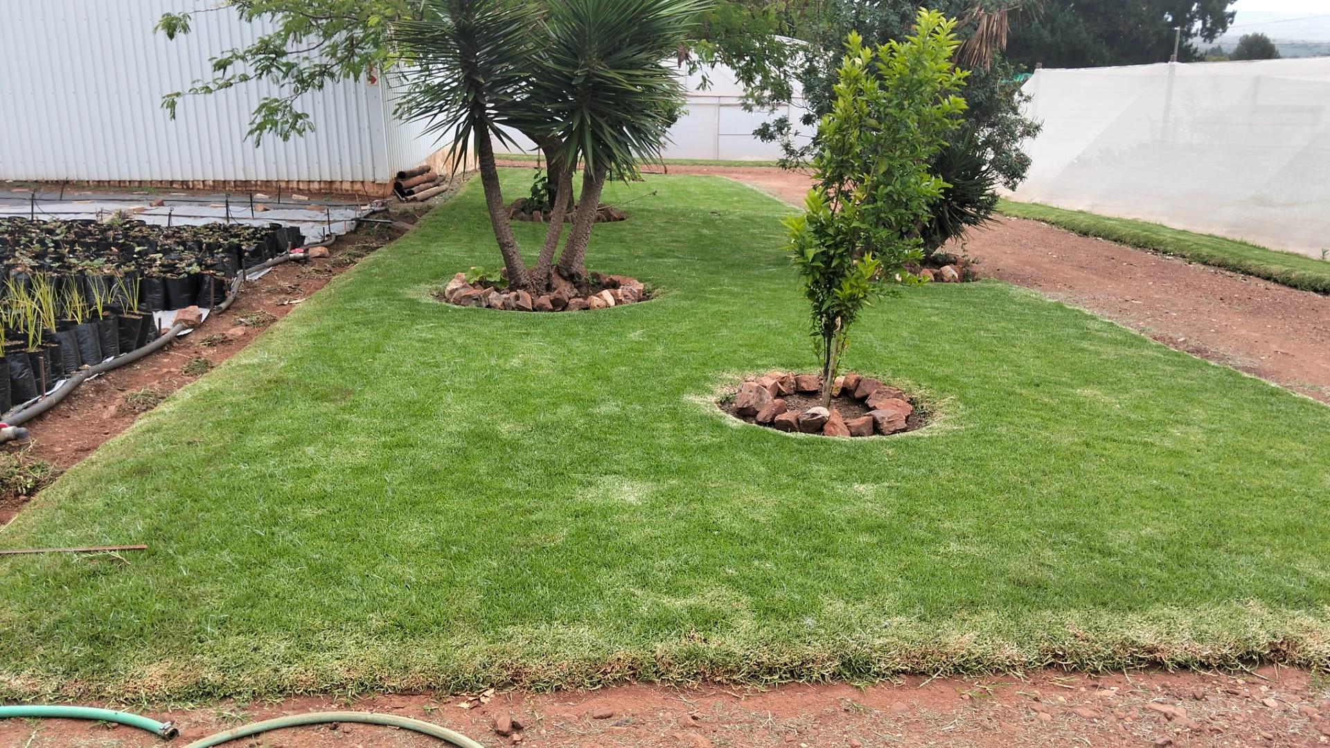11 Beds House, 2.6ha Land Agricultural 8 Greenhouses 5 Boreholes