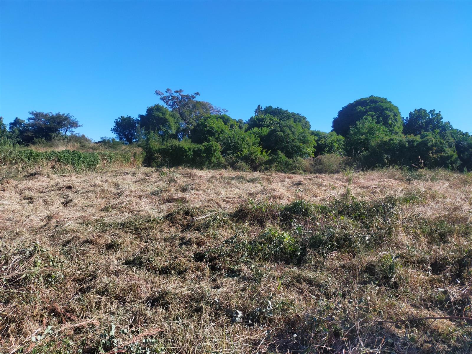 Vacant Land for sale in Thohoyandou, 620 m²