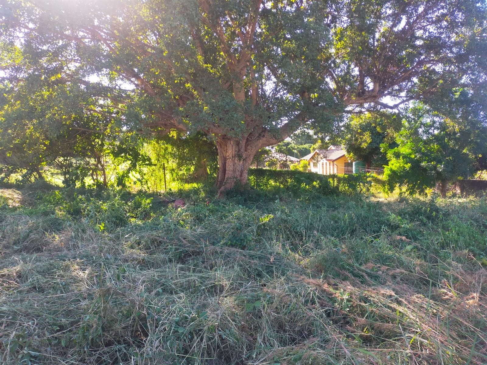 Vacant Land for sale in Thohoyandou, 620 m²