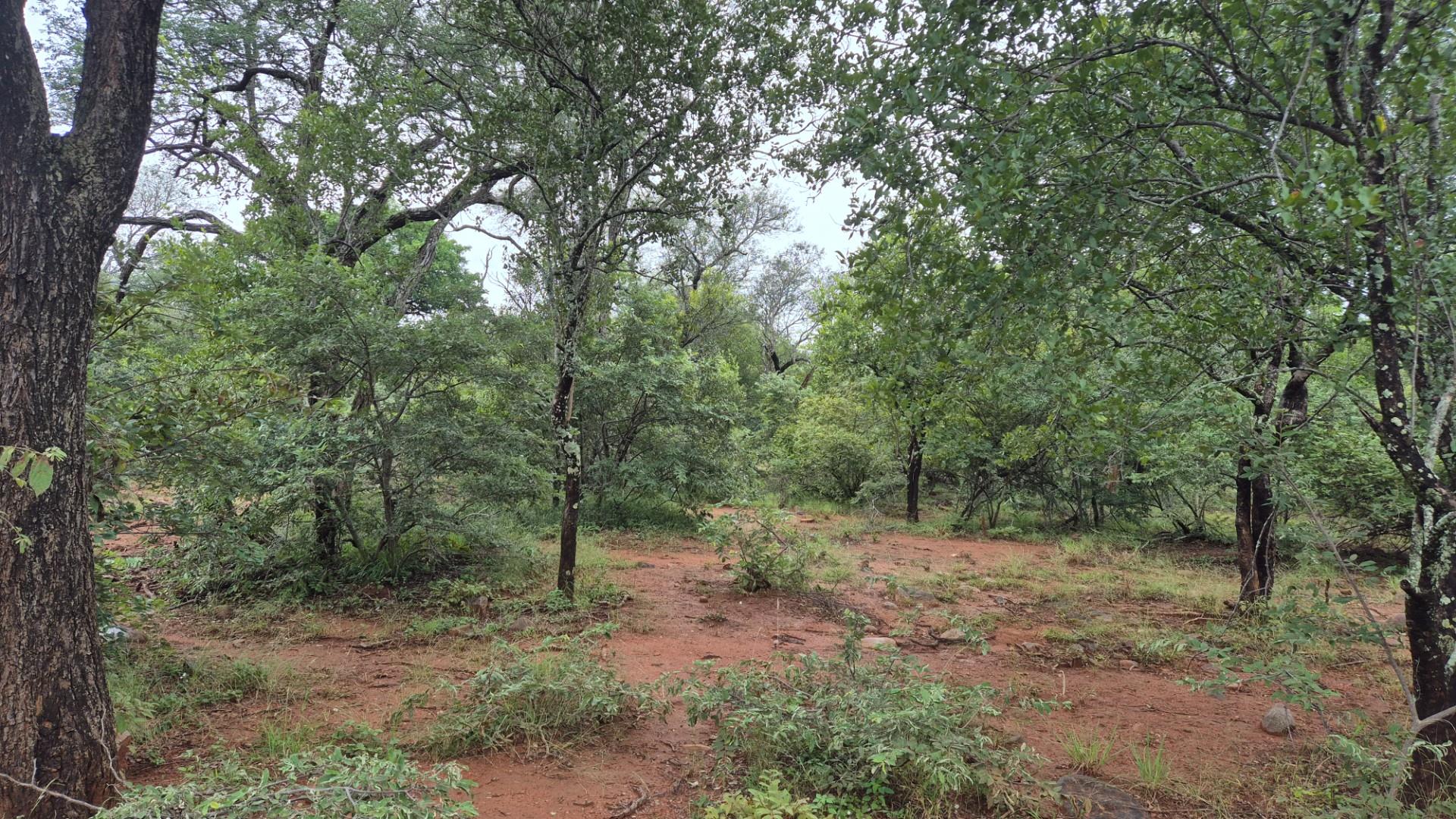 Vacant Land for sale in Canyon Game Reserve, Hoedspruit, 10010 m²