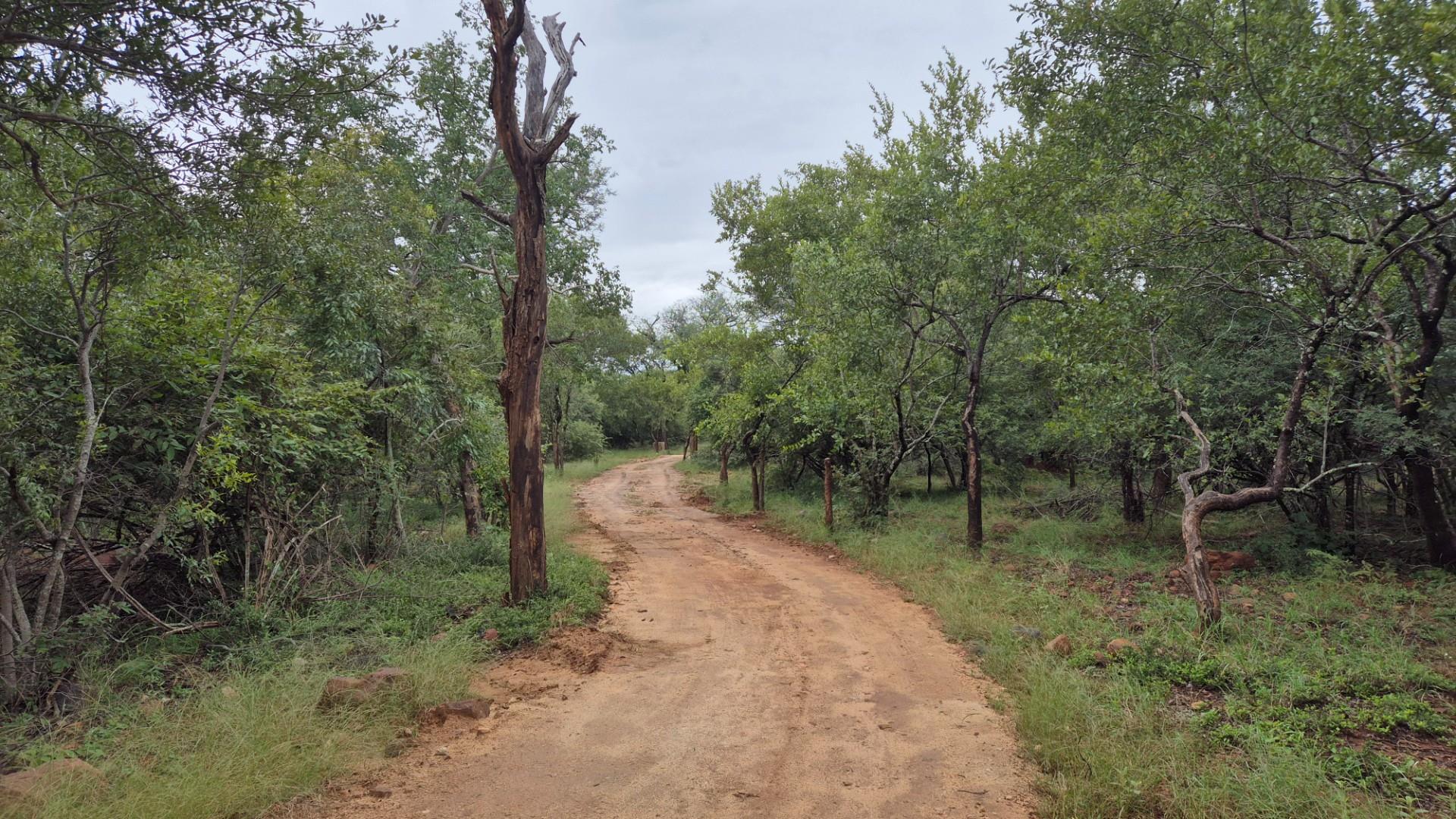 Plot against the slopes of the Drakensberg Mountains with Limpopo view