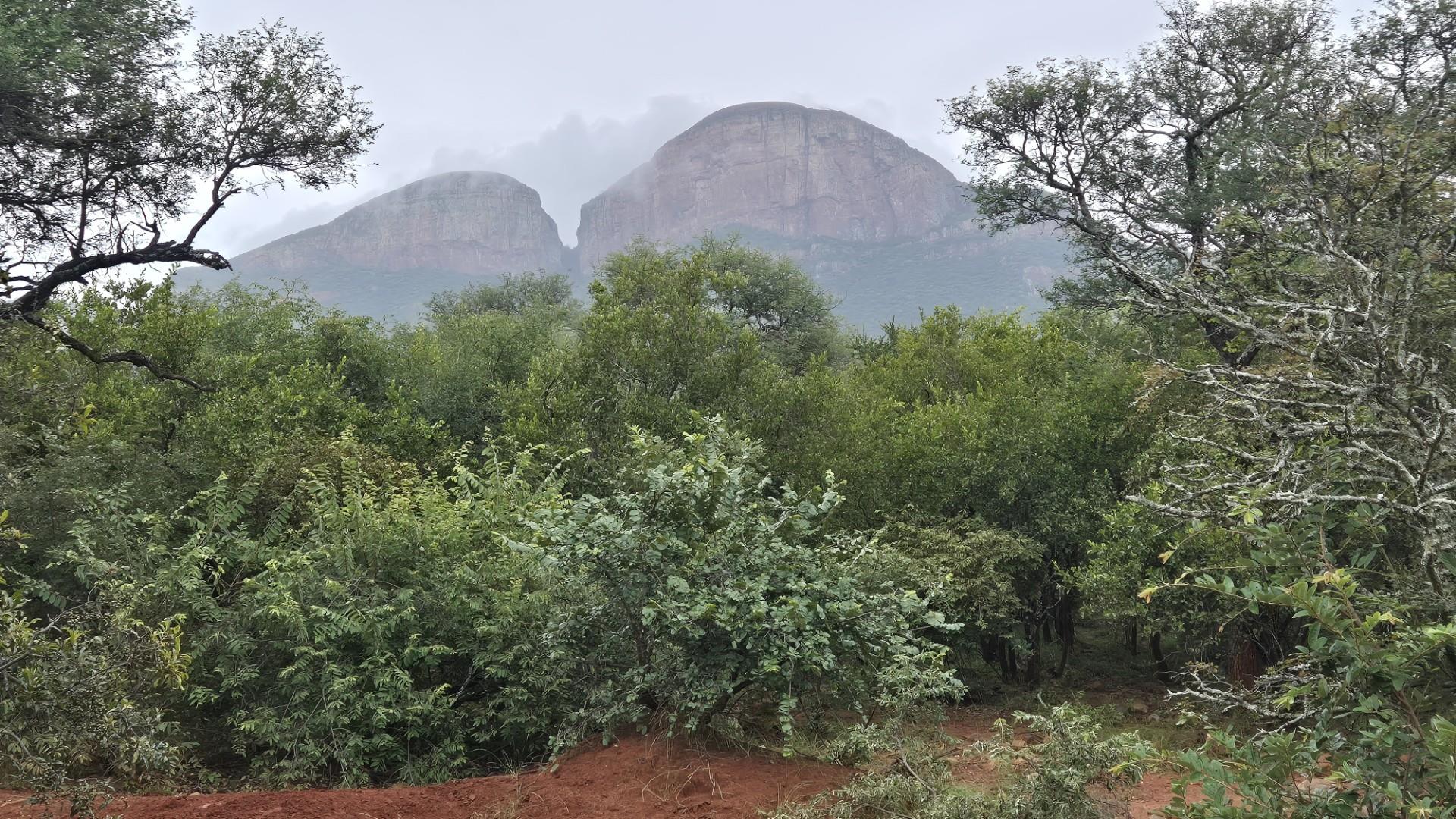 Plot against the slopes of the Drakensberg Mountains with Limpopo view