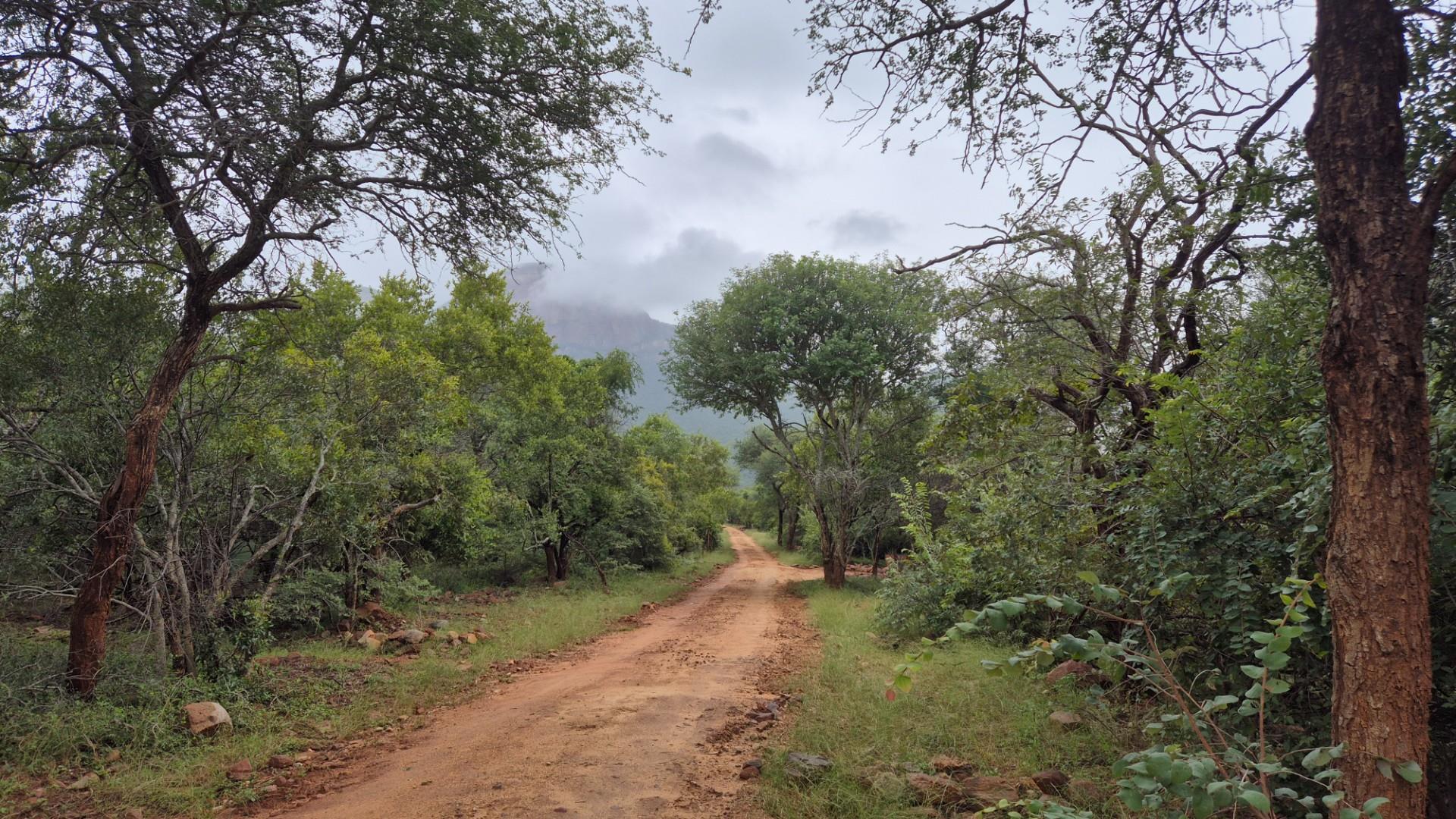 Plot against the slopes of the Drakensberg Mountains with Limpopo view