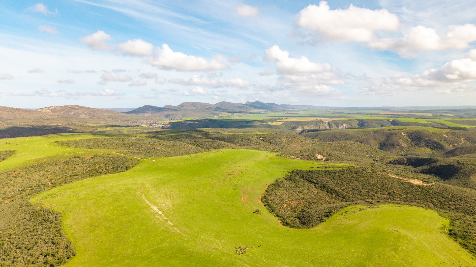 Game Farm For Sale