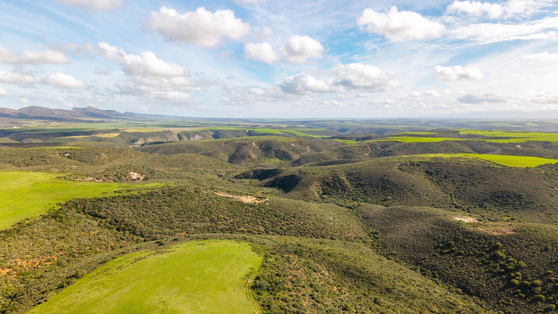 Game Farm For Sale