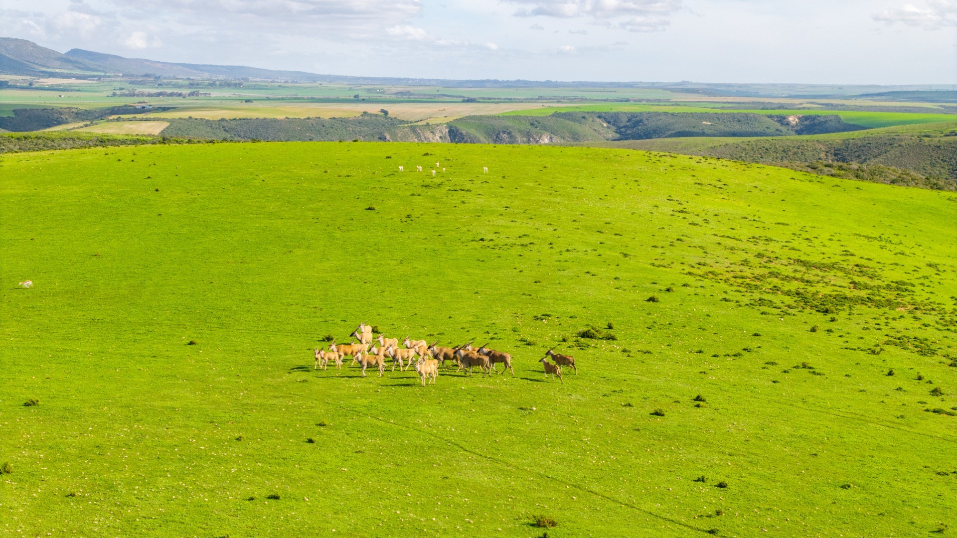 Game Farm For Sale