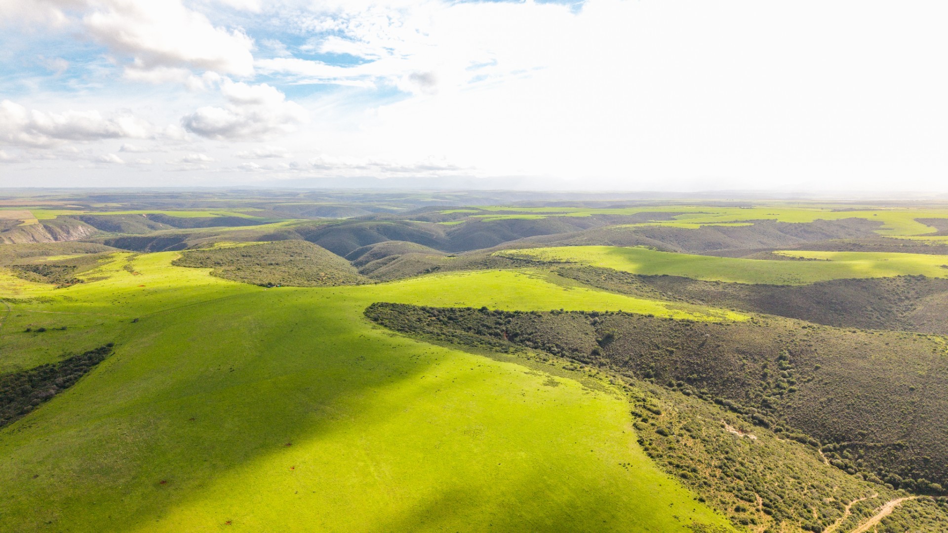 Game Farm For Sale