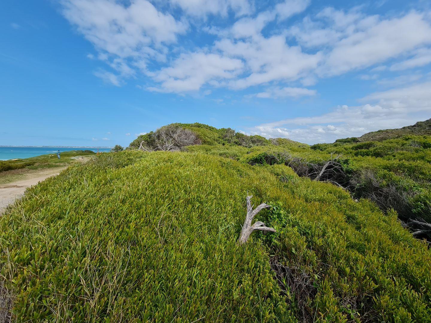 Vacant Land For Sale in Jeffreys Bay