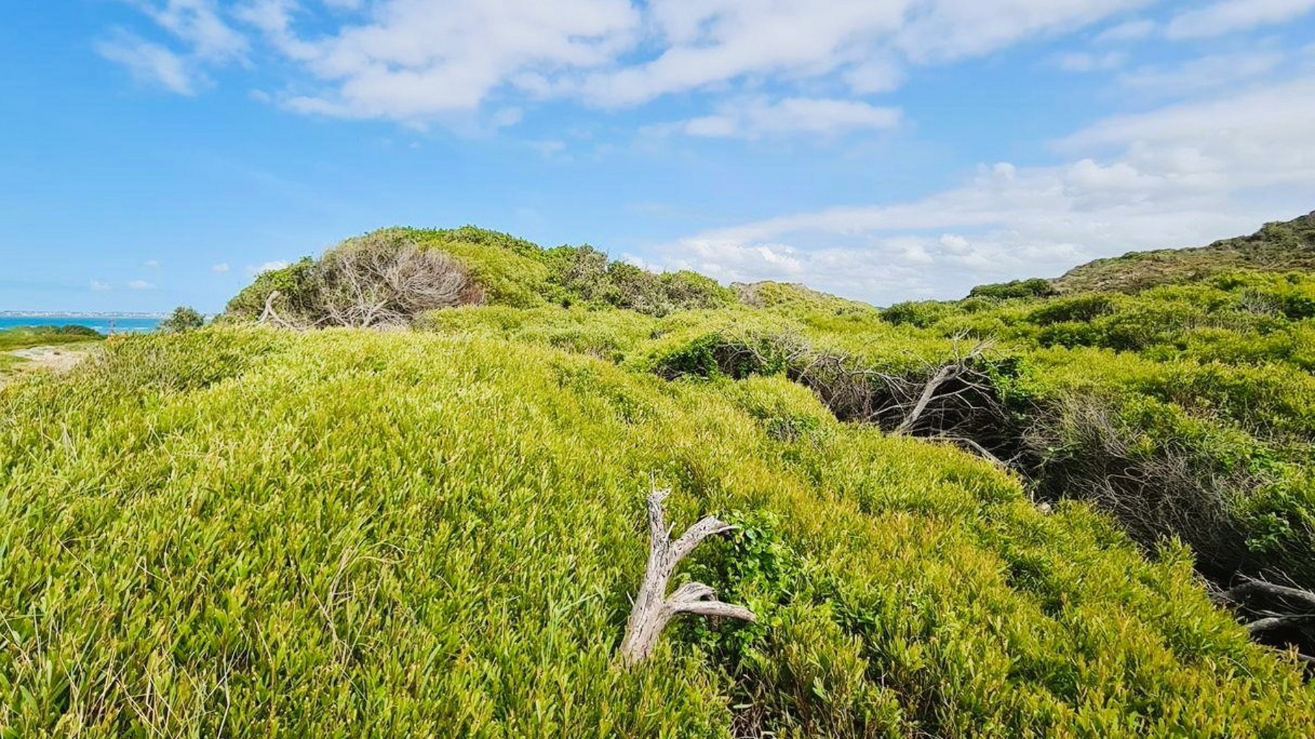 Vacant Land for sale in Paradise Beach, Jeffreys Bay, 811 m²