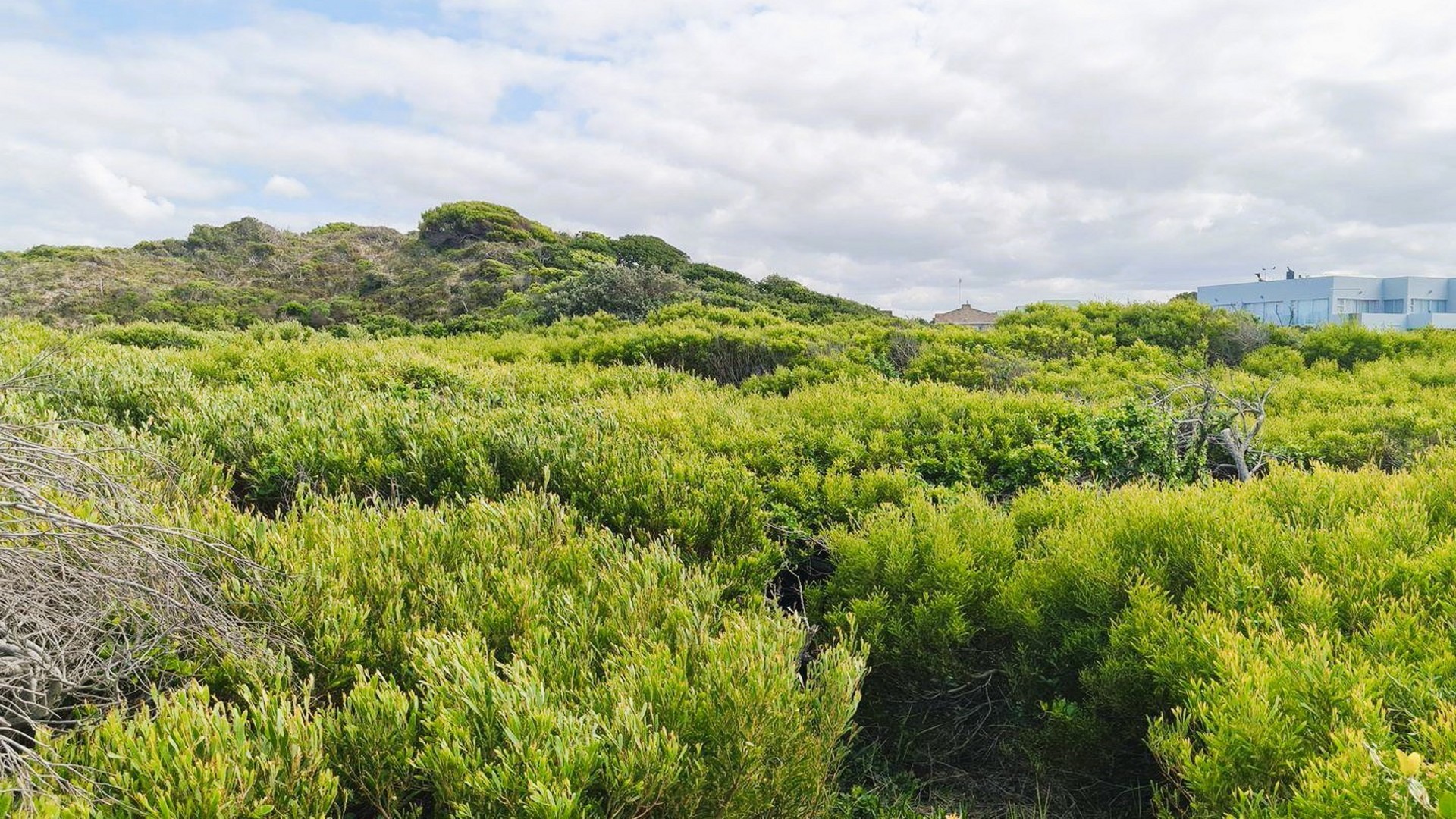 Vacant Land for sale in Paradise Beach, Jeffreys Bay, 811 m²