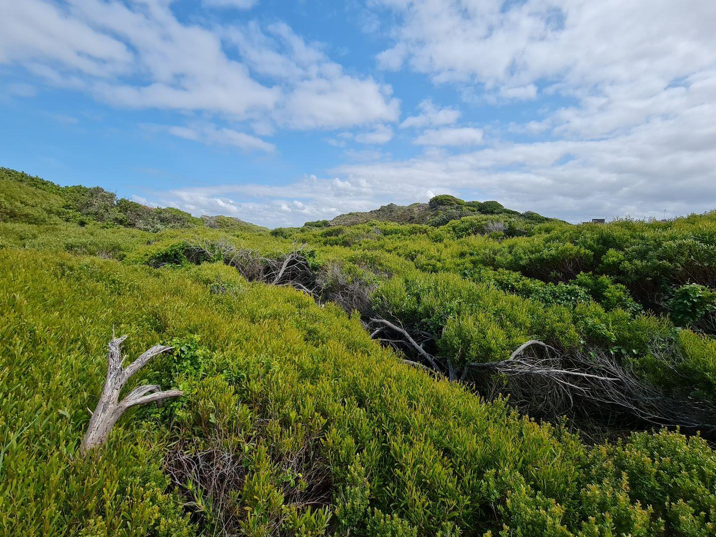 Vacant Land For Sale in Jeffreys Bay