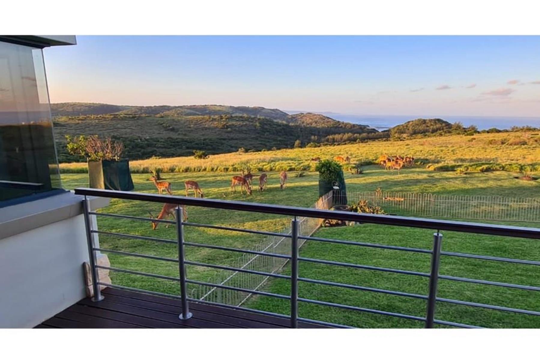 Elegant Coastal Living for the Discerning Buyer in a Prestigious Estate - Cypraea Sands