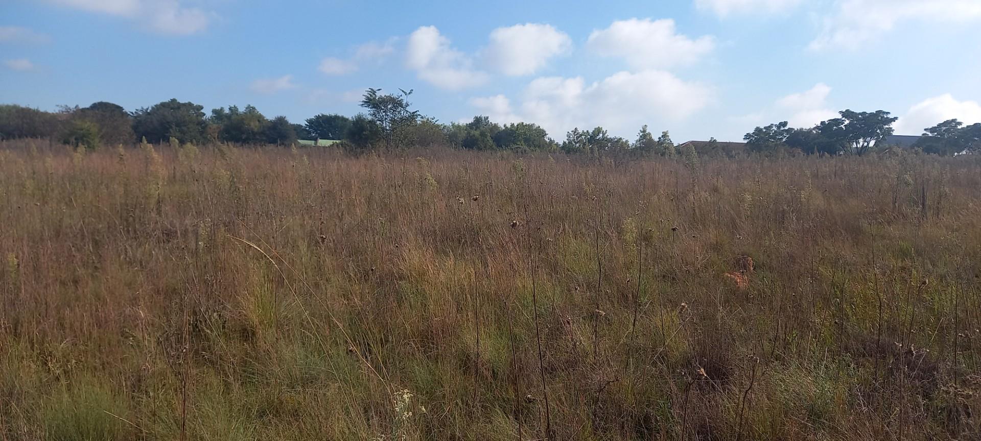 Vacant Land for Sale in Rietvlei View Country Estate