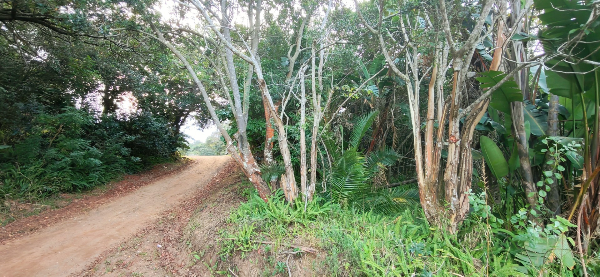 Vacant Land for sale in Palm Beach, Port Edward, KwaZulu Natal, 453 Edward avenue, Palm Beach, Port Edward, KwaZulu Natal, 1826 m²