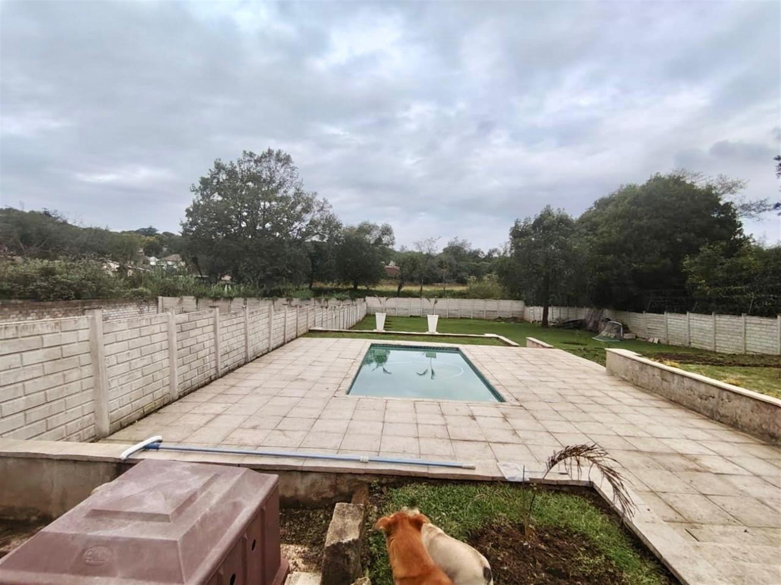 Prime Scottsville Investment | Walk to UKZN | 1,600m² Expansion Potential | High-Yield Student Accom