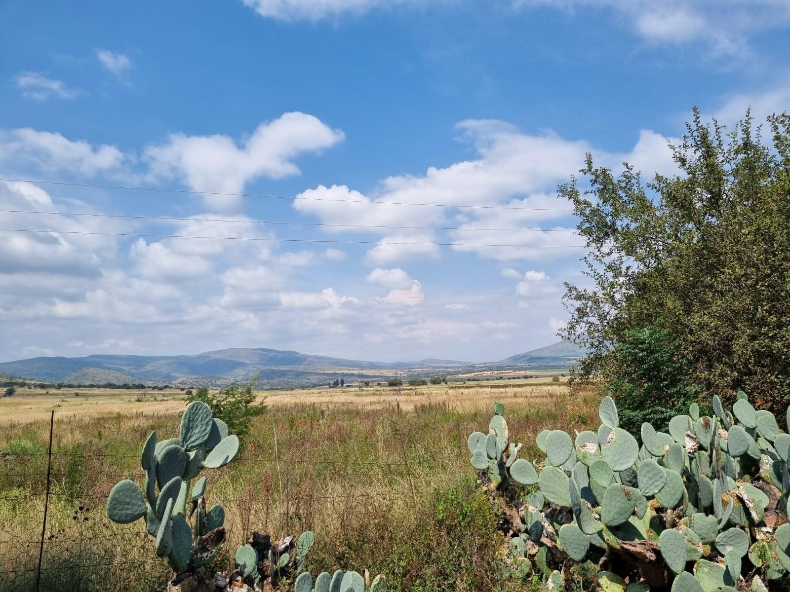 Farm for sale in Lydenburg Rural, Lydenburg, 7800000 m²