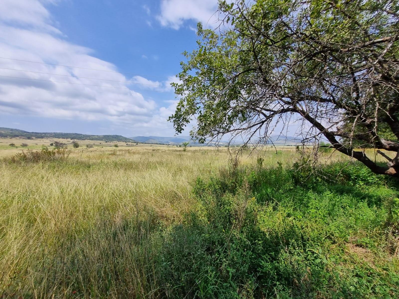 Farm for sale in Lydenburg Rural, Lydenburg, 7800000 m²