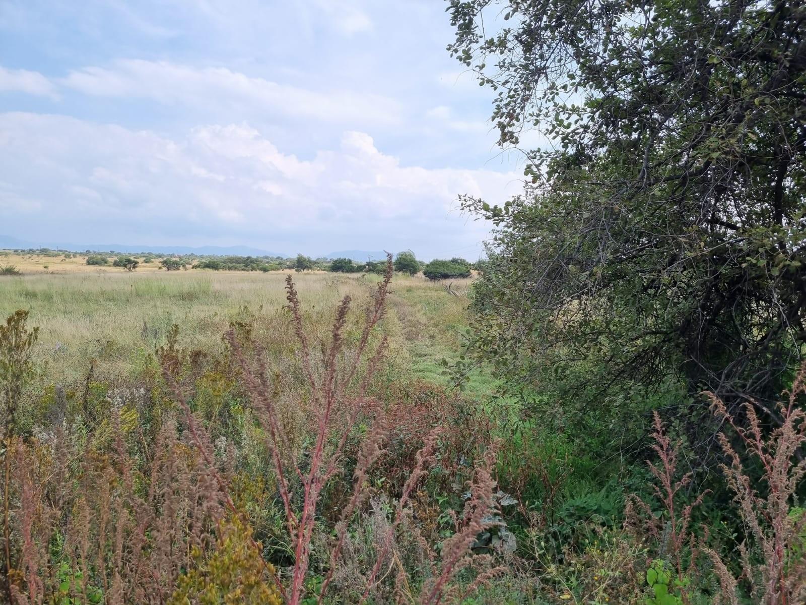 Farm for sale in Lydenburg Rural, Lydenburg, 7800000 m²