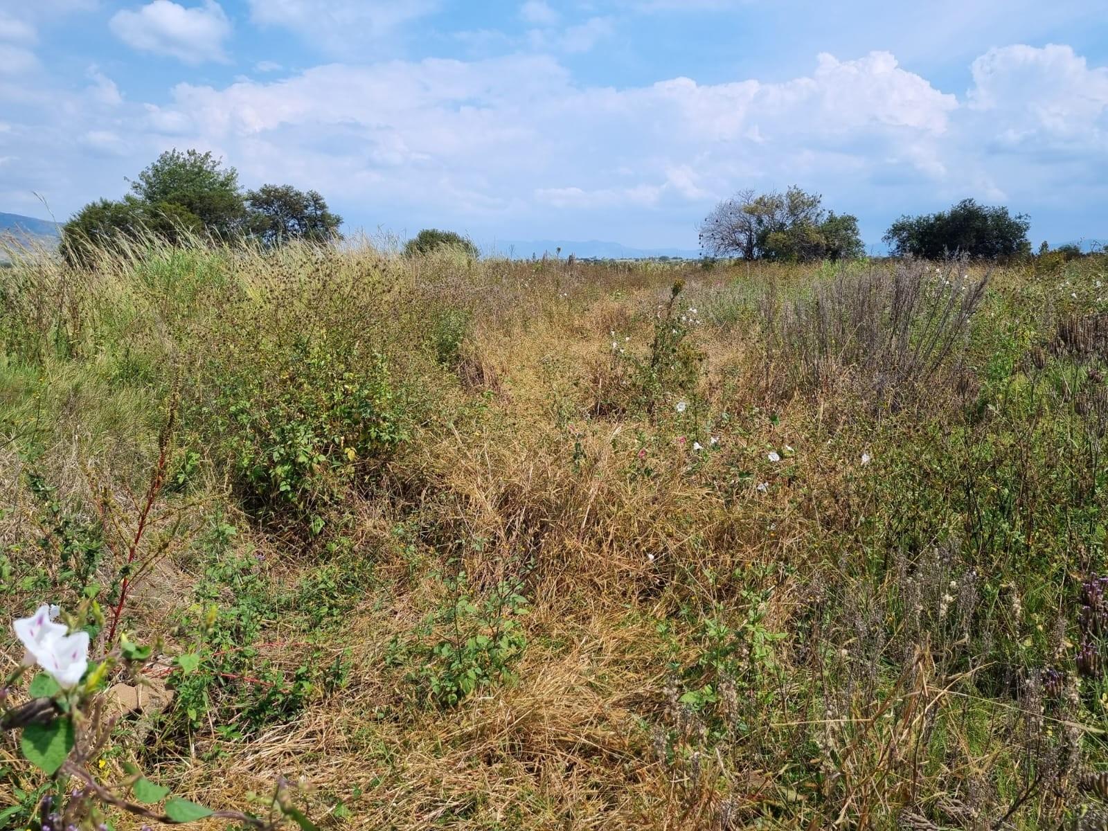 Farm for sale in Lydenburg Rural, Lydenburg, 7800000 m²