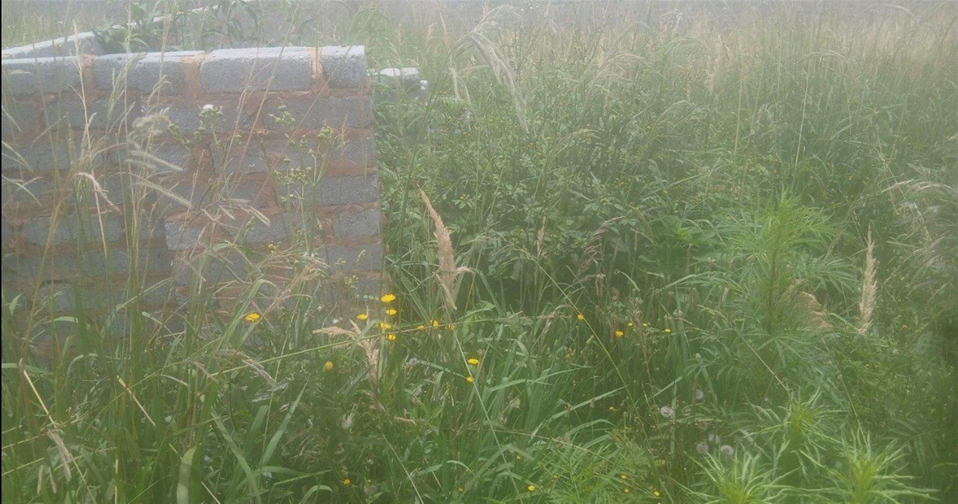 VACANT LAND FOR SALE IN HOSPITAAL PARK, ODENDAALSRUS