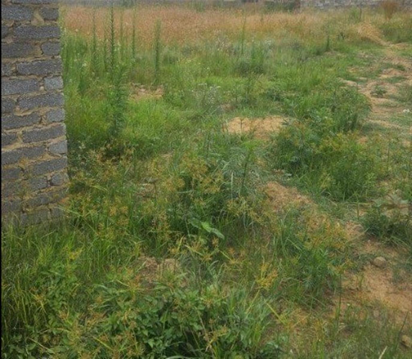 VACANT LAND FOR SALE IN HOSPITAAL PARK, ODENDAALSRUS