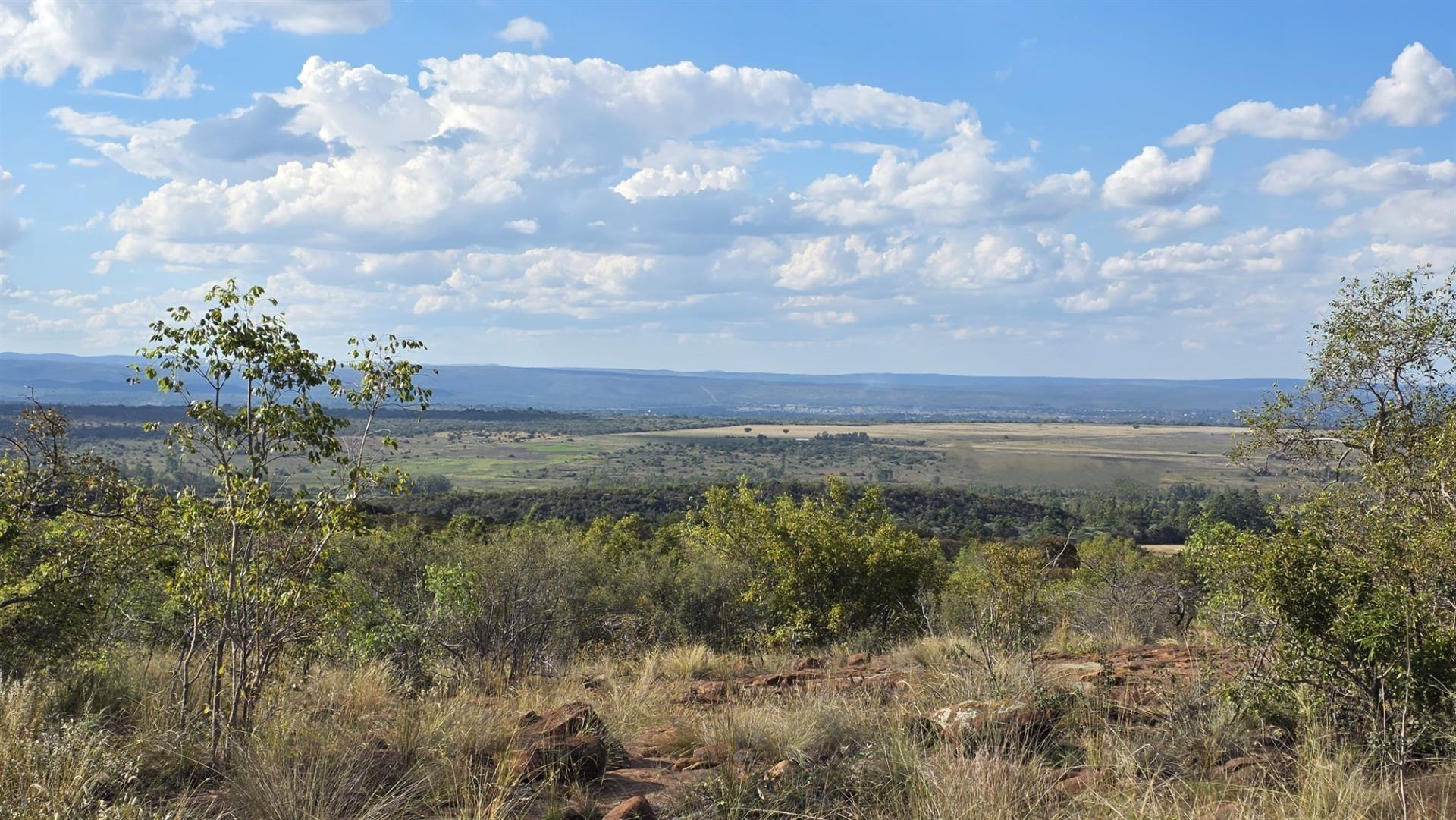 BARGAIN Verloren Estate - Prime North-East Facing Stand with Spectacular Views