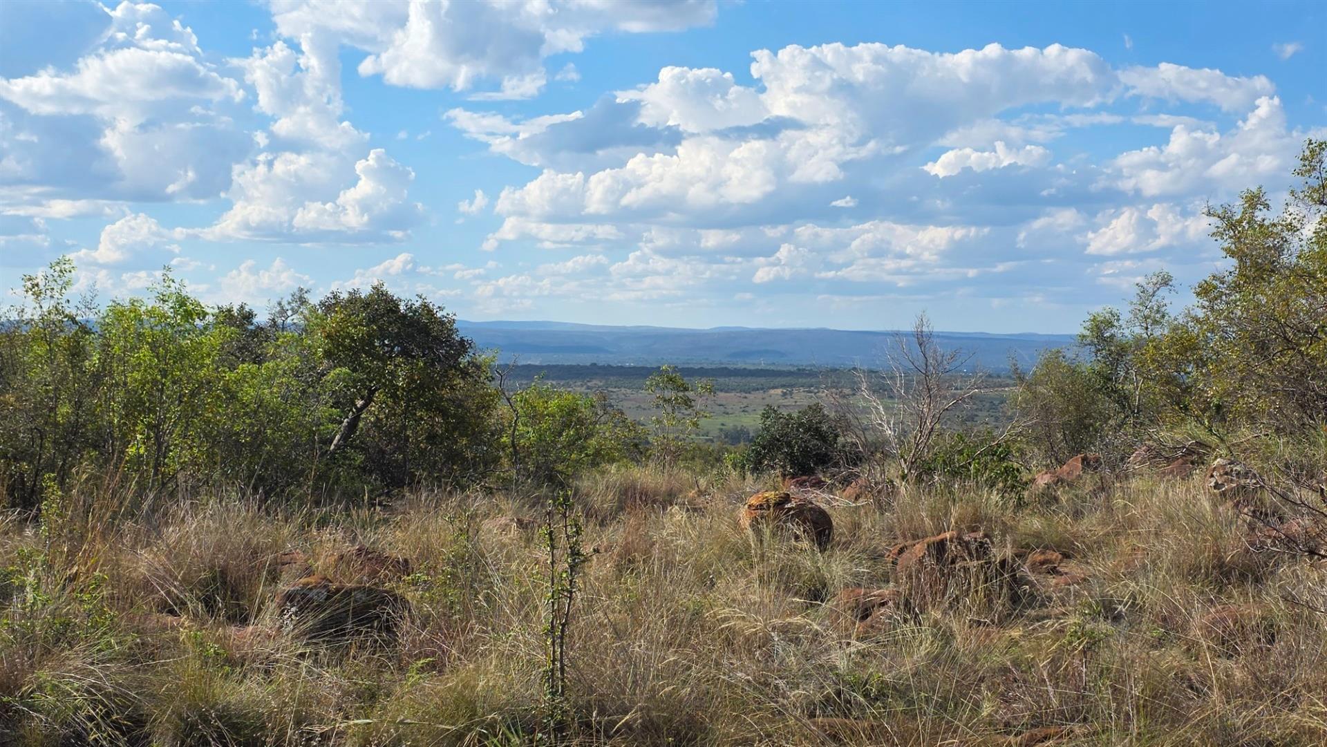BARGAIN Verloren Estate - Prime North-East Facing Stand with Spectacular Views