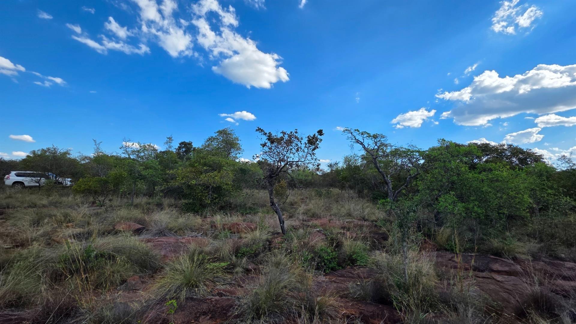 BARGAIN Verloren Estate - Prime North-East Facing Stand with Spectacular Views