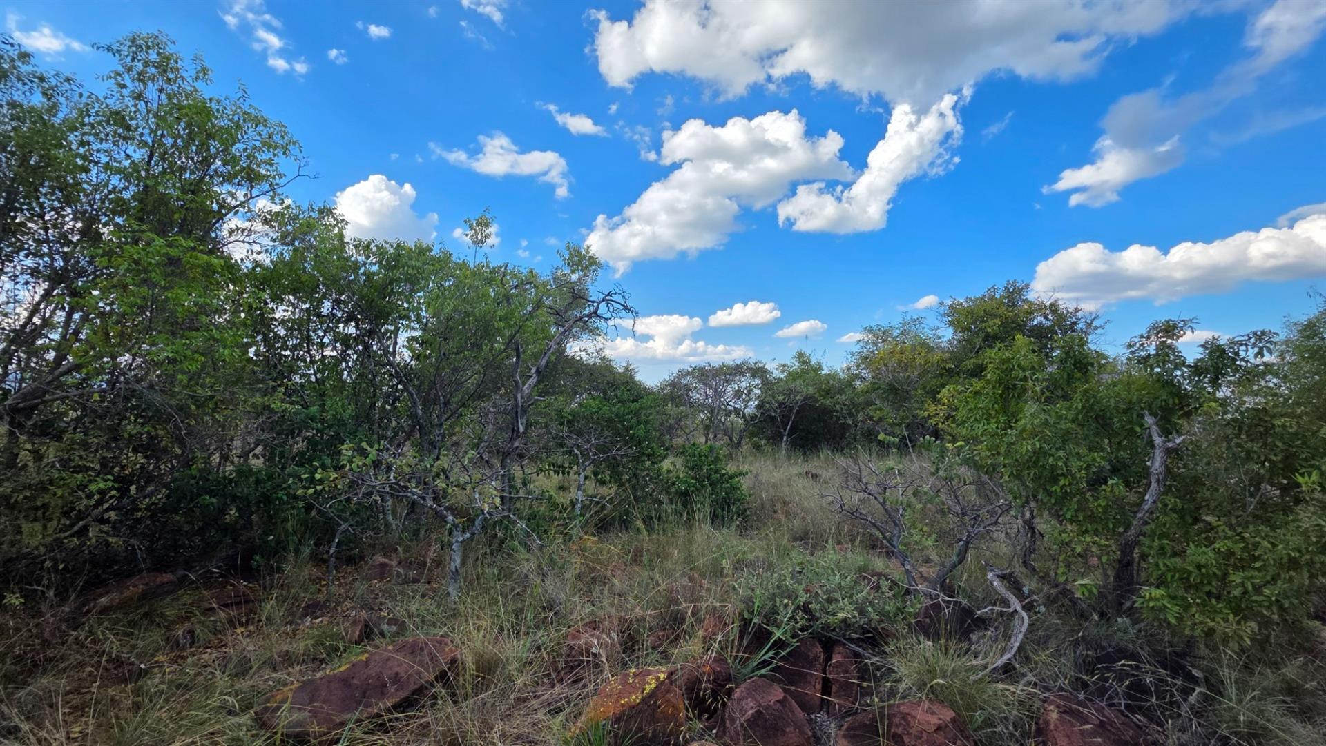 BARGAIN Verloren Estate - Prime North-East Facing Stand with Spectacular Views