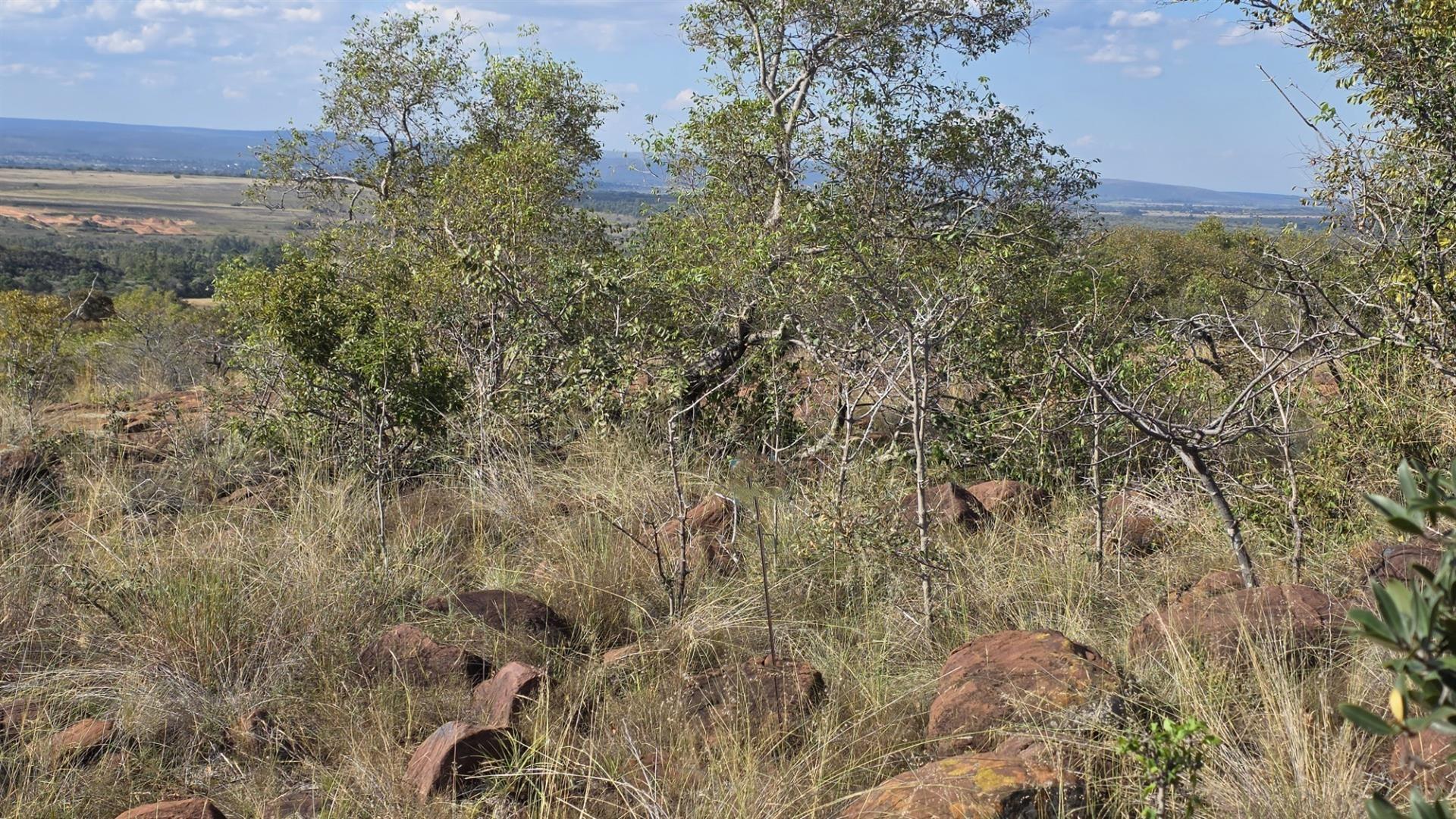 BARGAIN Verloren Estate - Prime North-East Facing Stand with Spectacular Views