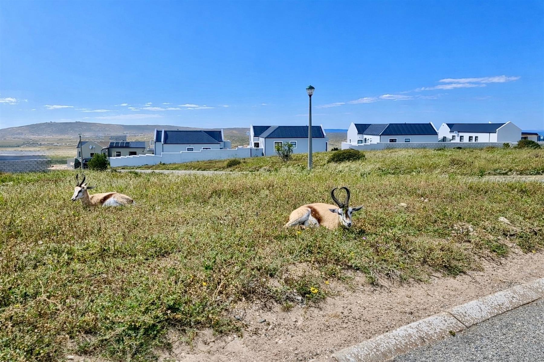 Secure Estate Living | Vacant Land in Hoogland, Saldanha