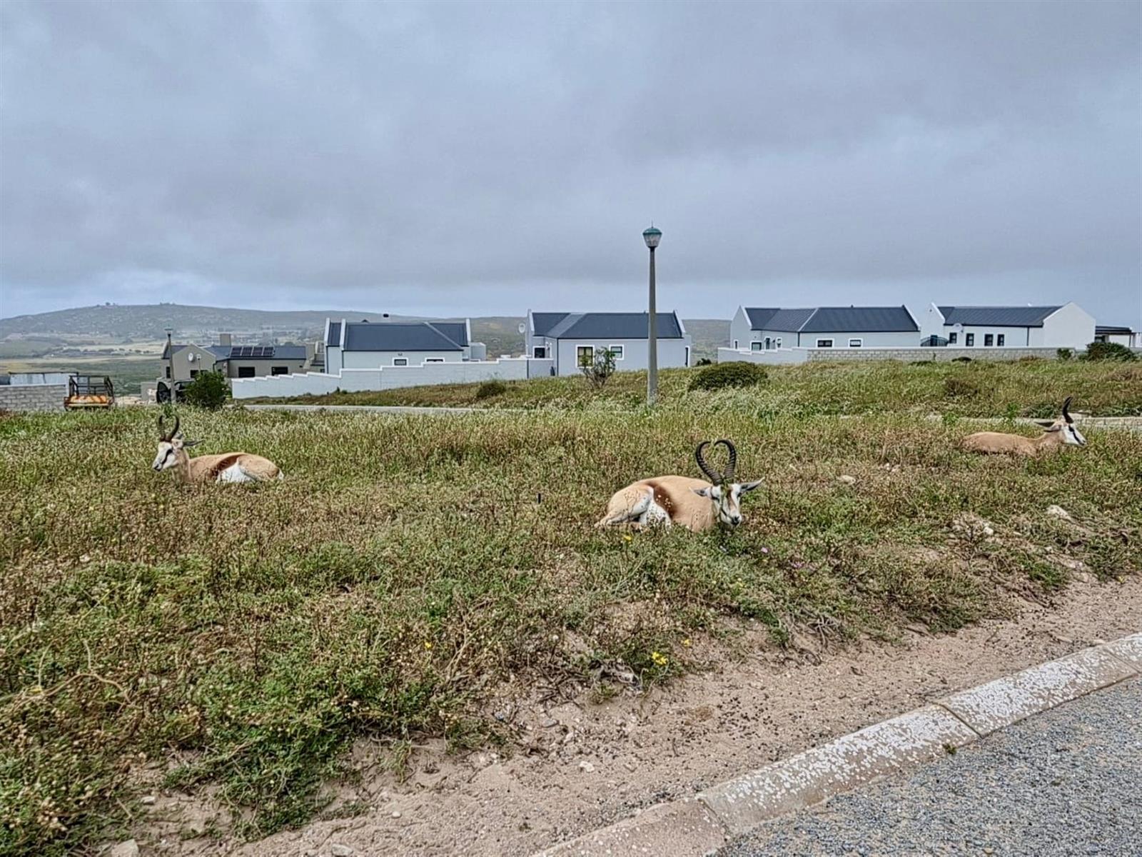 Great Investment Opportunity - 668m² Stand in Hoogland Mountain Estate, Saldanha