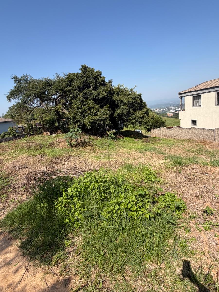 Stand for Sale at Mountain View