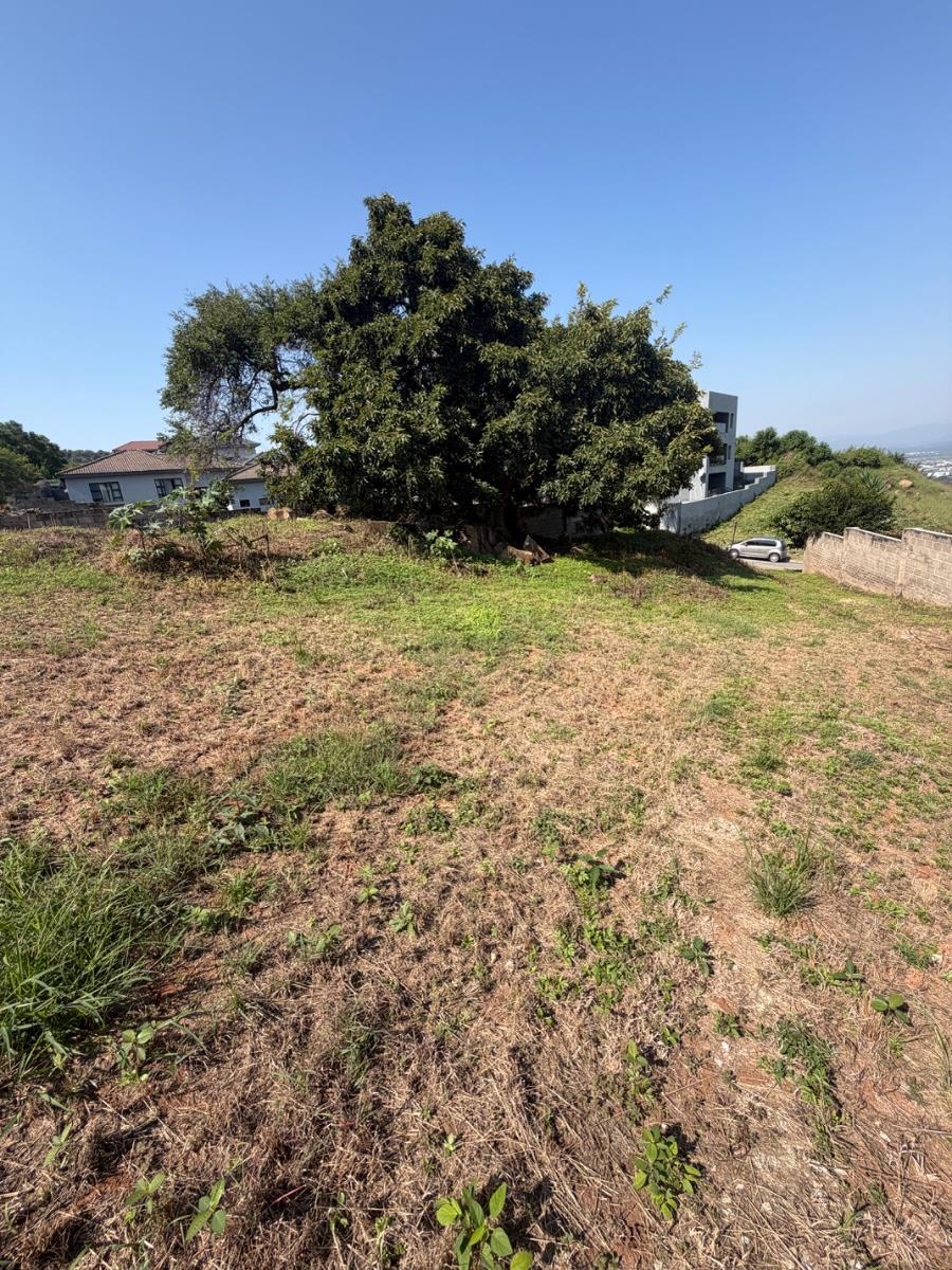 Stand for Sale at Mountain View