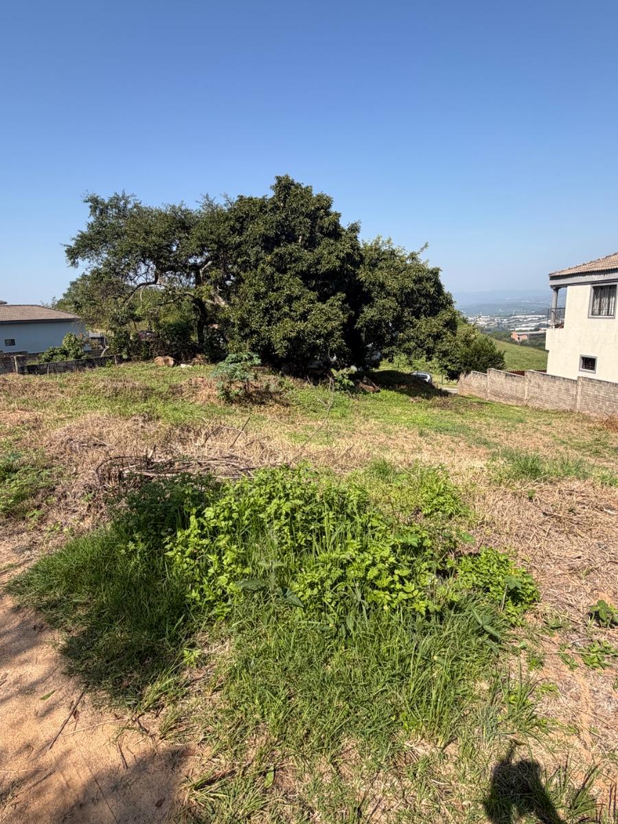 Stand for Sale at Mountain View