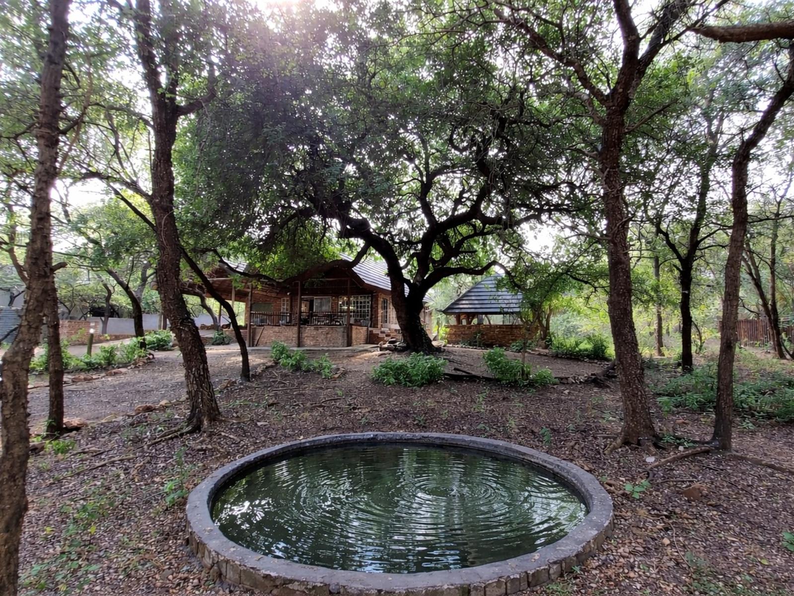 Where Luxury Meets the Wild - A Once-in-a-Lifetime Marloth Park Sanctuary