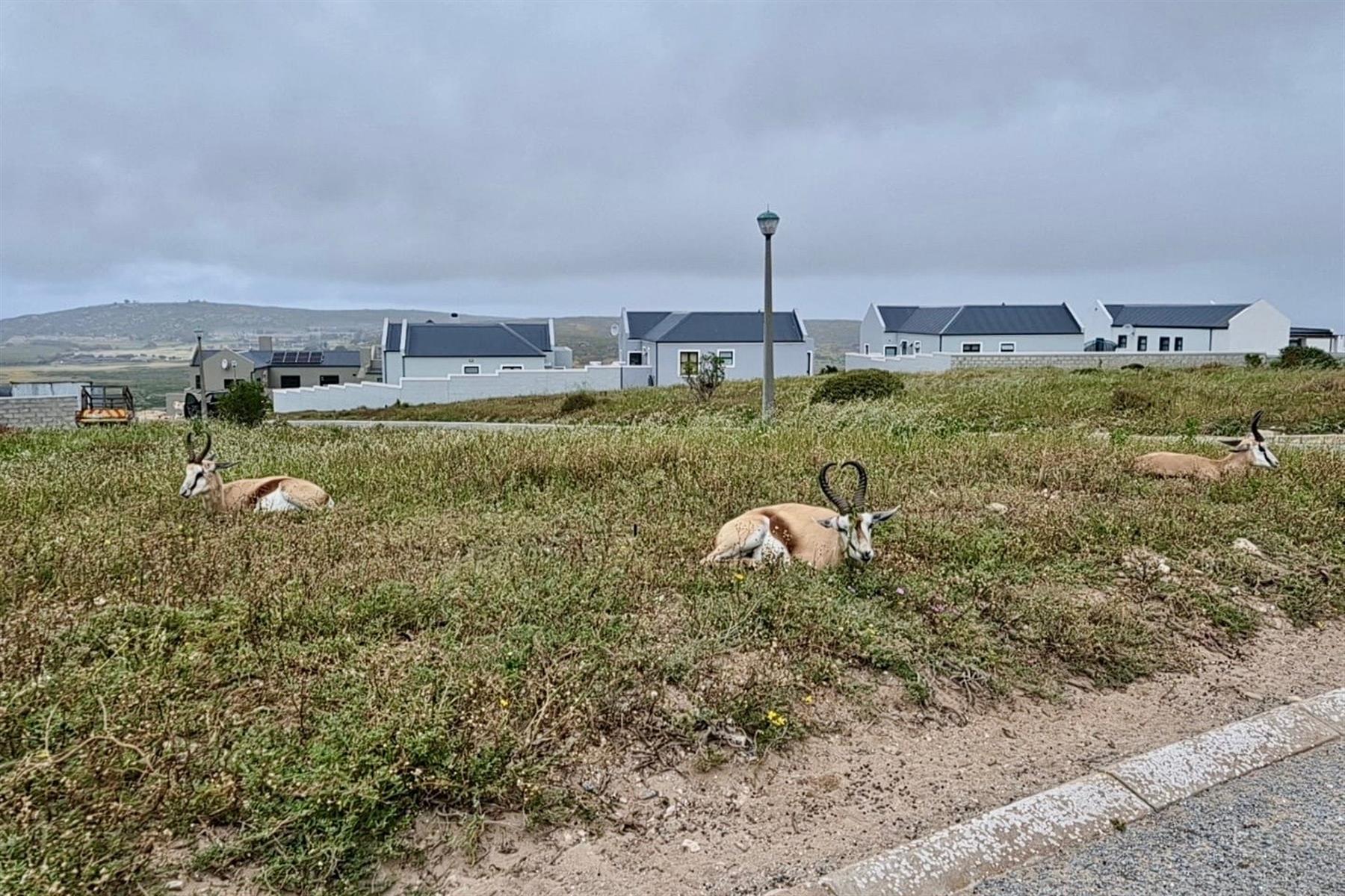Prime 651m² Sea View Stand in Hoogland Mountain Estate, Saldanha