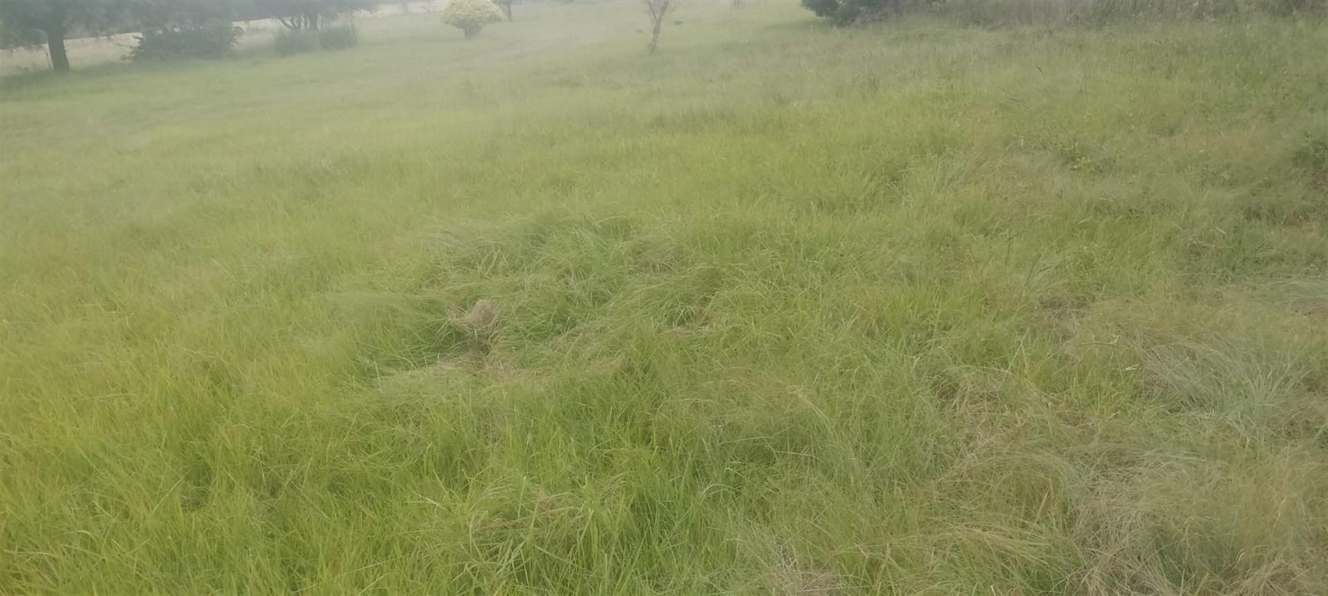 1 hactare Vacant Land for sale in Mnandi,Centurion