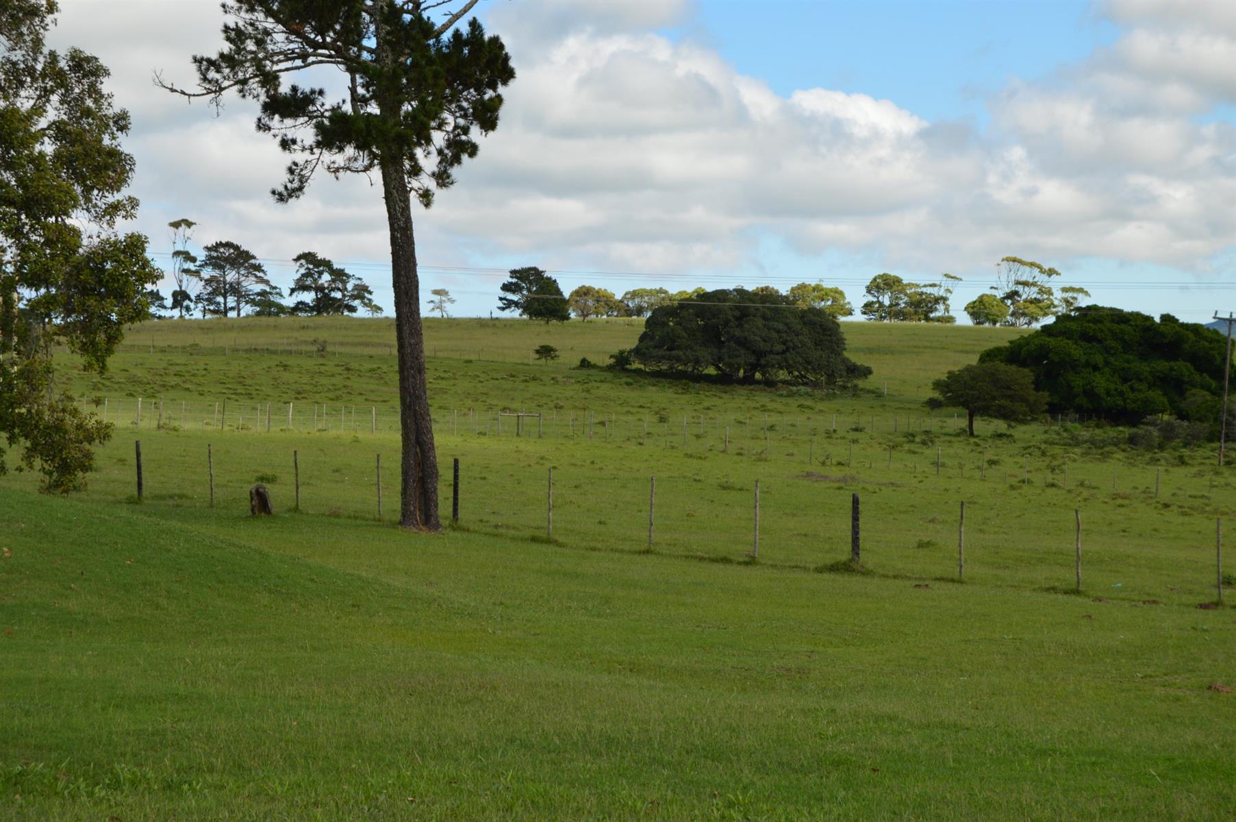 Fairlands Farm for sale in Alexandria