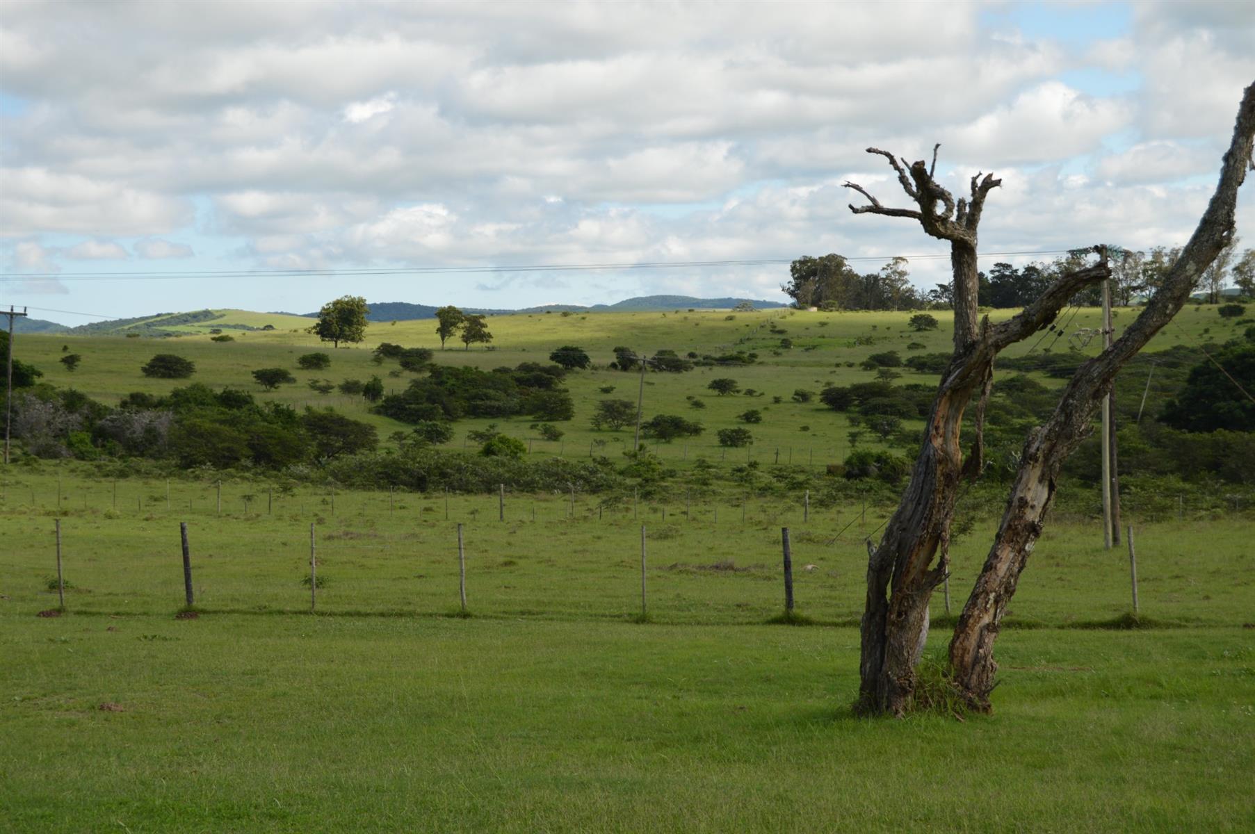 Fairlands Farm for sale in Alexandria