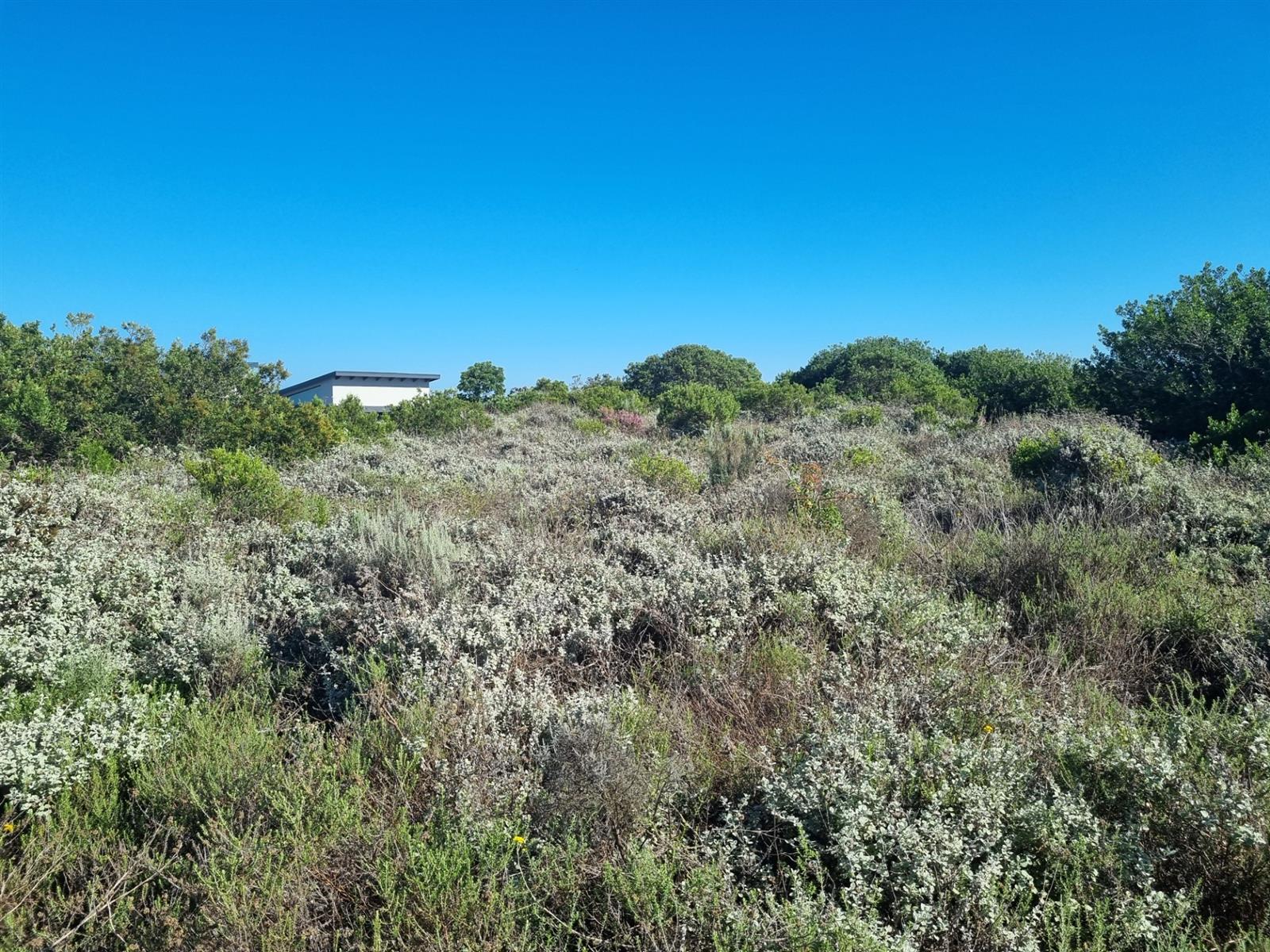 Vacant Land For Sale in Fernwood Estate, Knysna