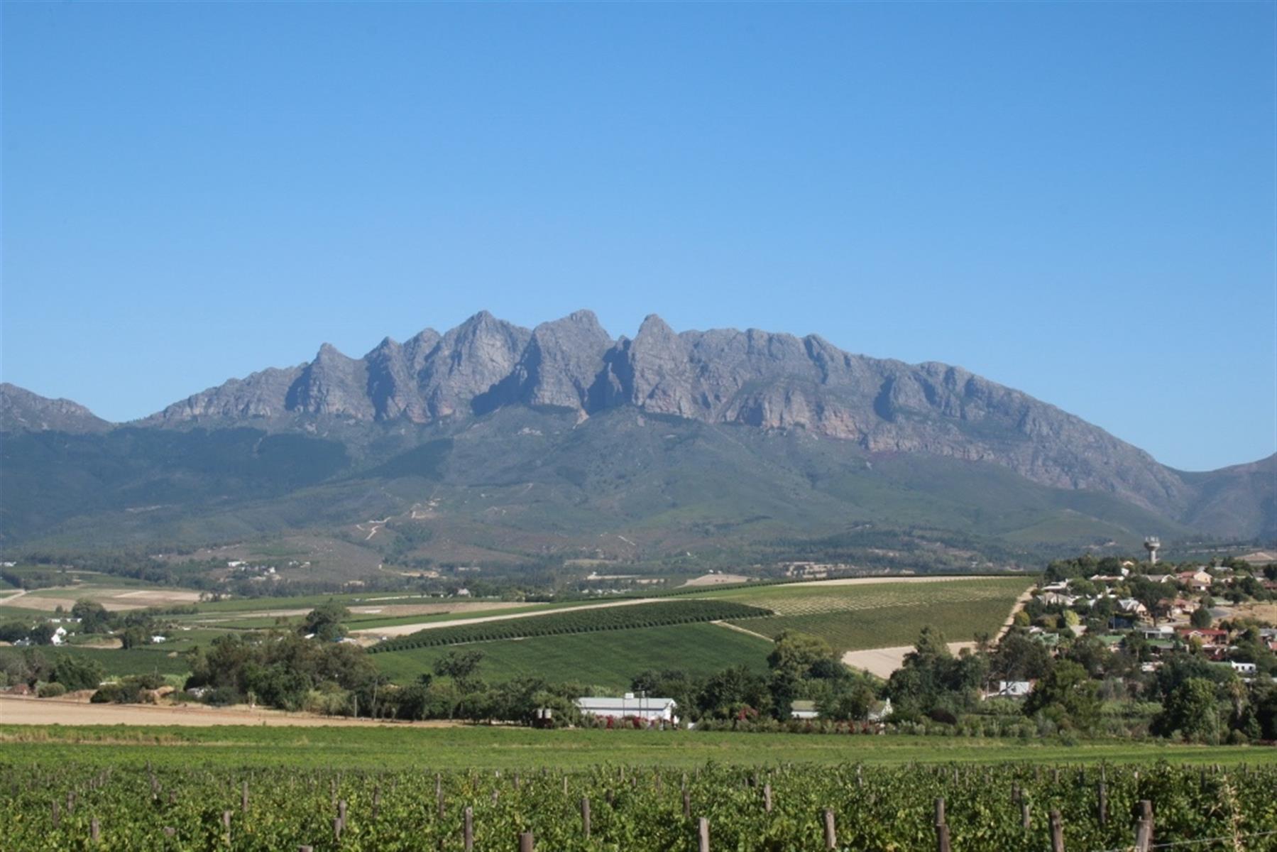 Linton Park Wine Estate - A Rare South African Historical Wine Legacy