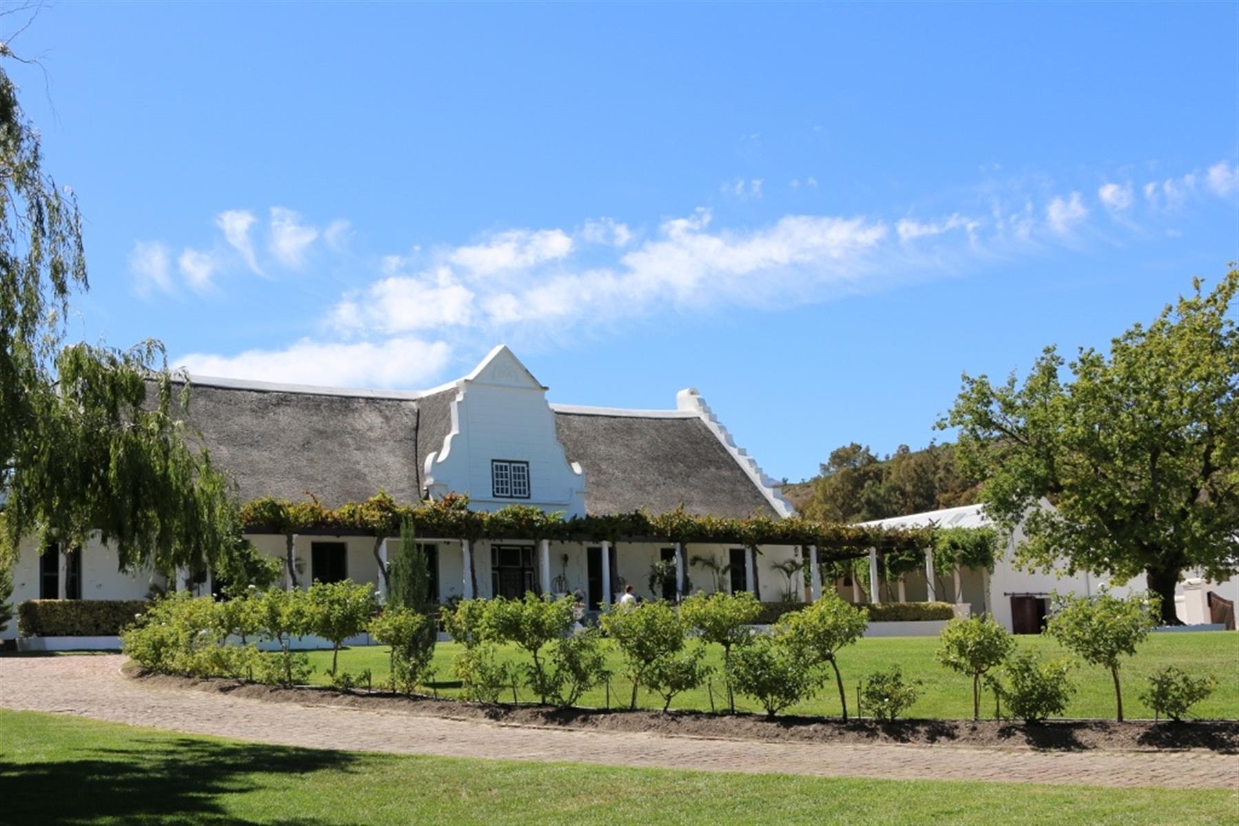 Linton Park Wine Estate - A Rare South African Historical Wine Legacy