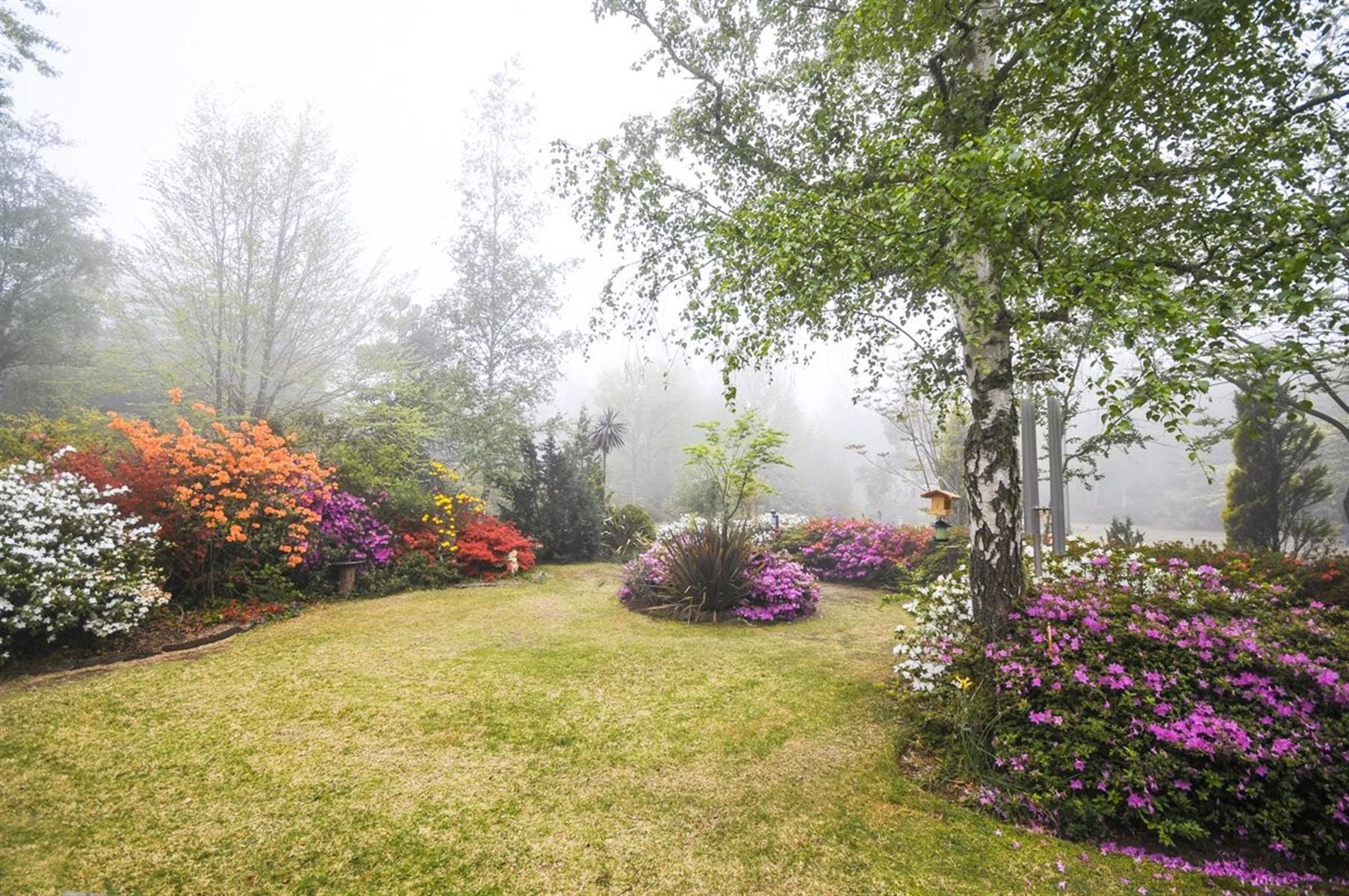 A Magical Hogsback Sanctuary - Fully Furnished Lifestyle and Income Opportunity!!!