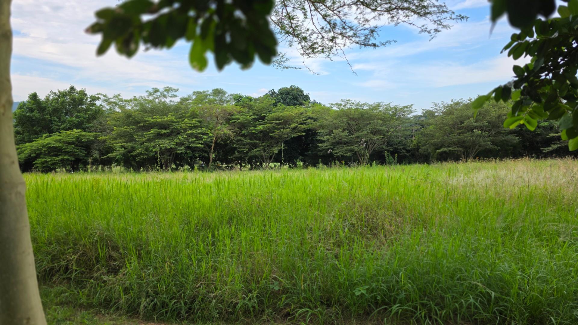 Vacant Land For Sale in Hazyview